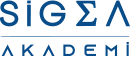 sigmakademi.com
